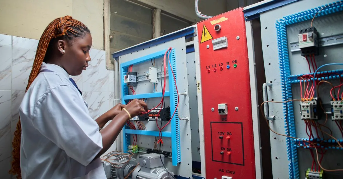 Busbar electrical panel detail for Busbars: Wiring a Clean 12V System