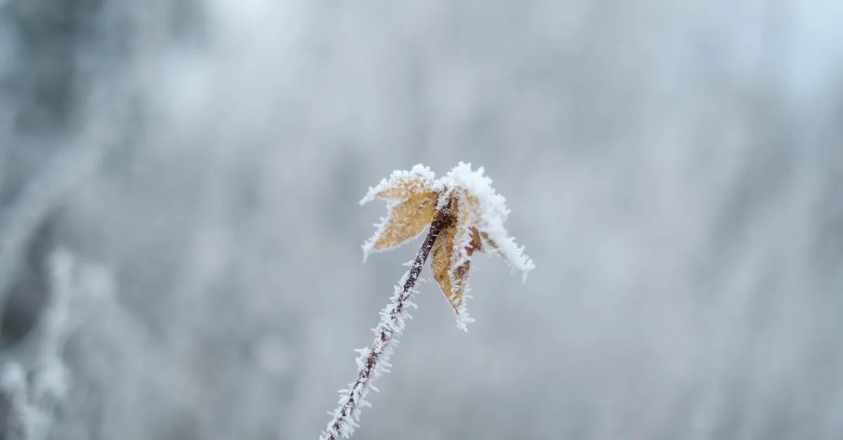 Charging Lithium Below Freezing