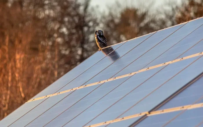 Do You Need to Tilt RV Solar Panels?