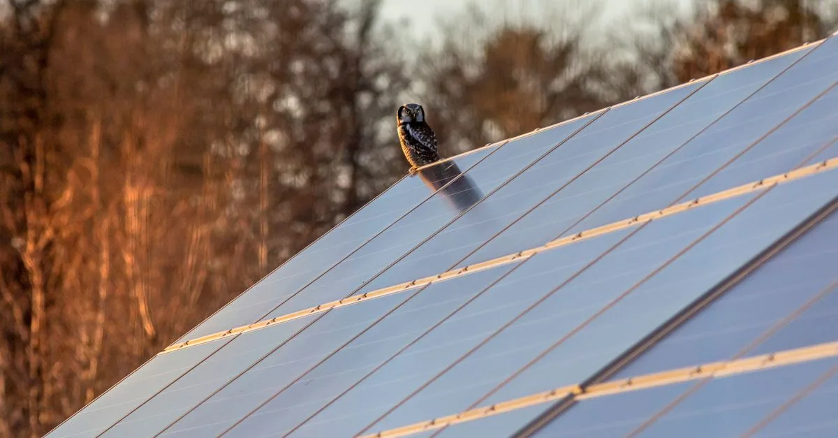 Do You Need to Tilt RV Solar Panels?