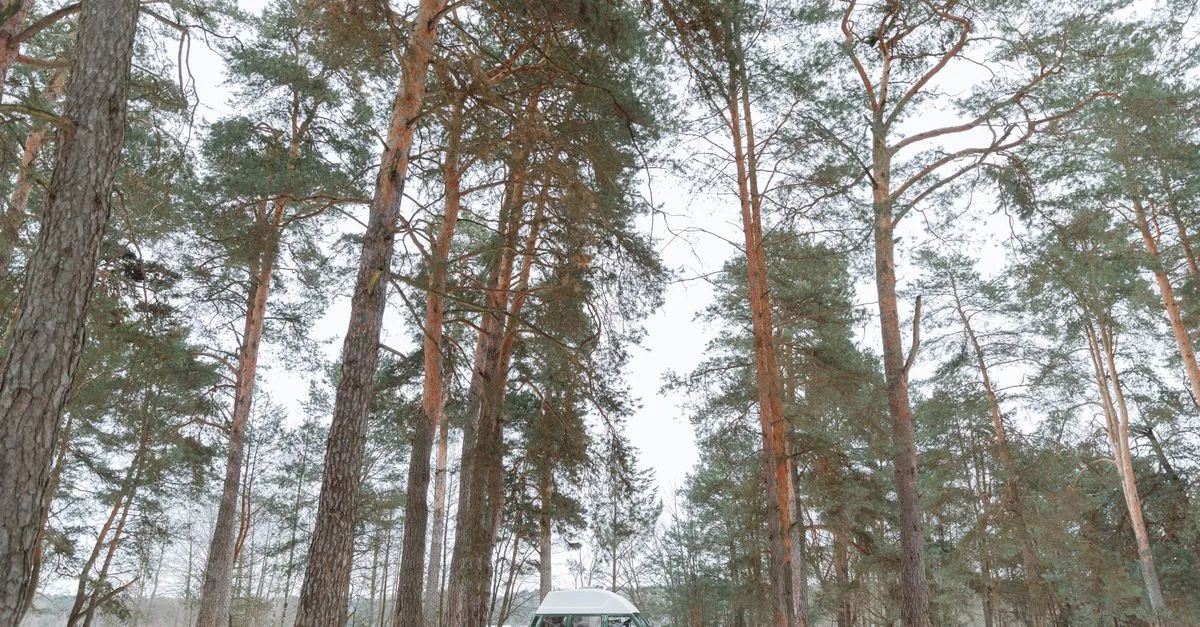 Snow winter camping van detail for Low-Temperature Cutoff, Explained