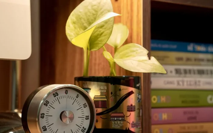 Why Lithium Needs Less Absorption Time