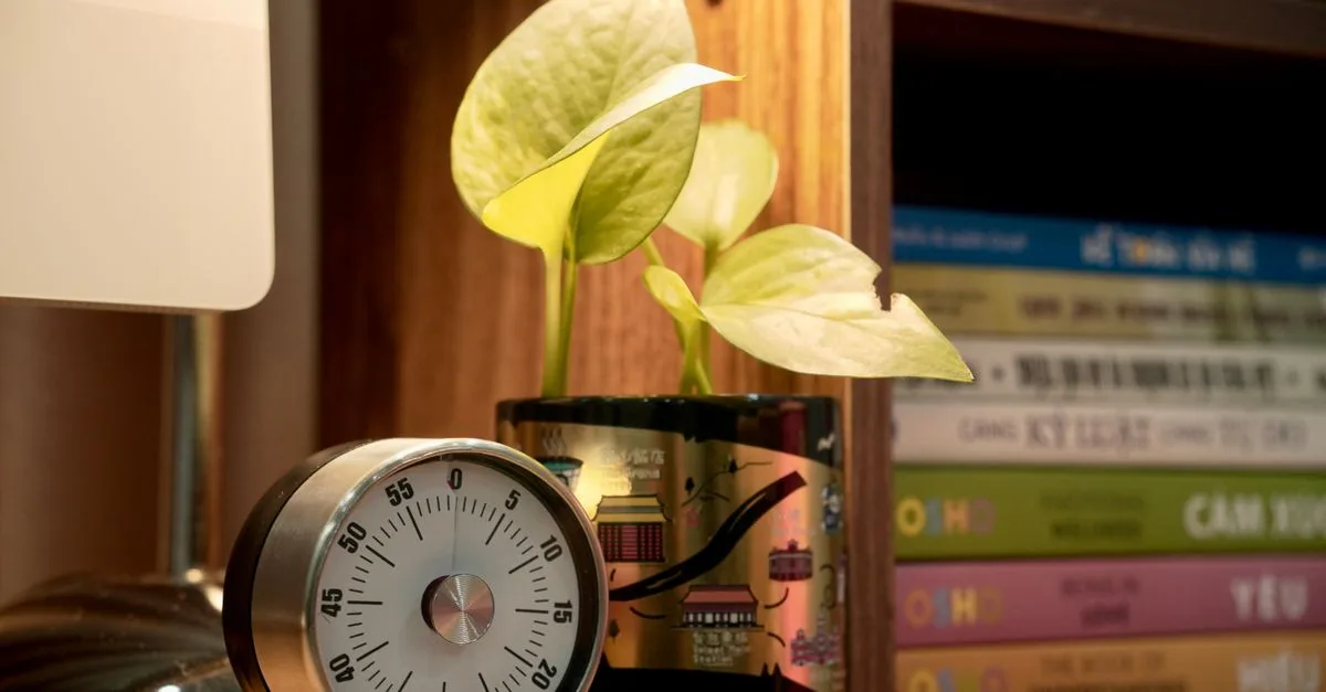 Why Lithium Needs Less Absorption Time