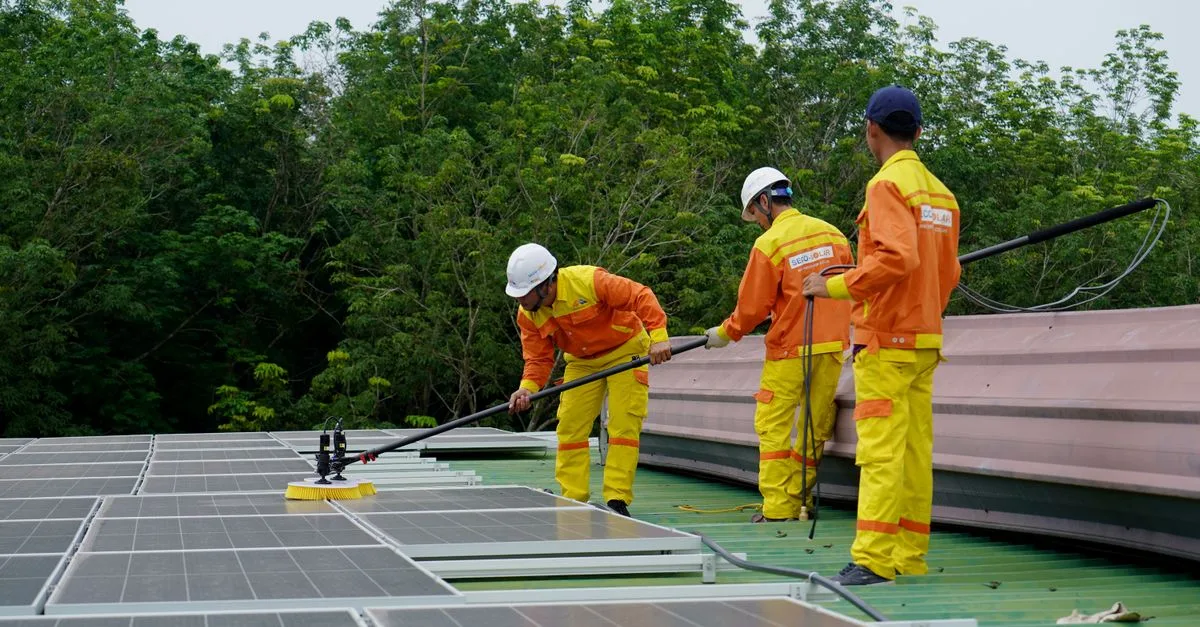 Solar panel maintenance detail for Solar Not Charging Lithium? Fixes